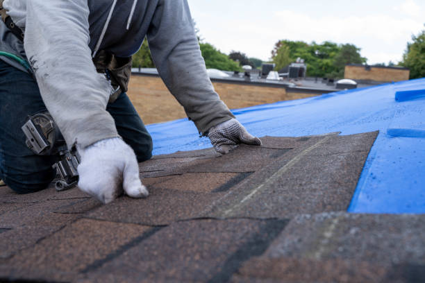 Best Metal Roofing Contractor  in Lindsay, OK