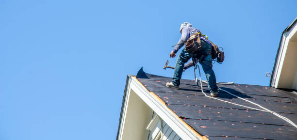 Best Metal Roofing Contractor  in Lindsay, OK